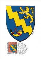 LUXEMBOURG  CARTE  MAXIMUM      NUM-YVERT 995 BLASON - Cartes Maximum