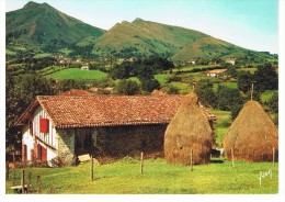 SARE -  Une Ferme Basque à La Rhune - Yvon 7125 - - Sare