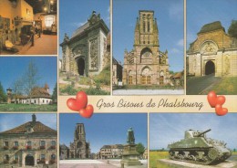 GROS BISOUS DE PHALSBOURG VUES MULTIPLES - Phalsbourg