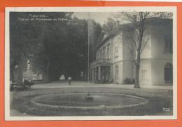 N14/499, Aubonne , Casino, Esplanade, Promenade Du Chêne, Animée, Circulée 1930 - Aubonne