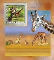 Guinea. 2014 Giraffes. (217b) - Jirafas