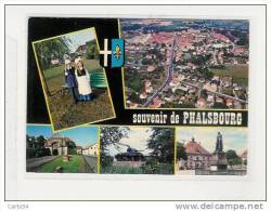 57  PHALSBOURG - Phalsbourg