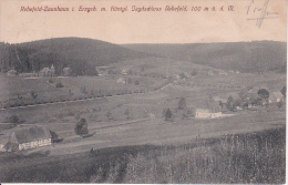 AK Rehefeld-Zaunhaus Im Erzgebirge  Mit Königl. Jagdschloss Rehefeld - 1914 (8479) - Rehefeld