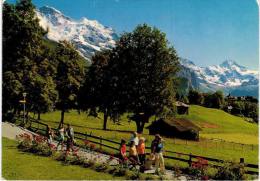 Suisse -  Wengen Mit Jungfrau Und Breithorn - Wengen