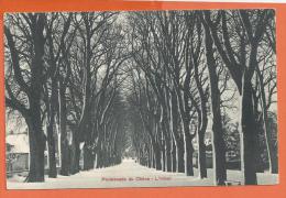 N14/506, Aubonne, Promenade Du Chêne En Hiver, Non Circulée - Aubonne