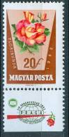 HUNGARY-1962.Roses 20fillér With Margin MNH!! - Nuevos