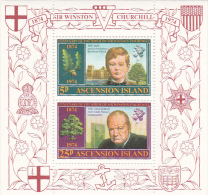 Ascension 1974 Churchill Souvenir Sheet MNH - Ascensión