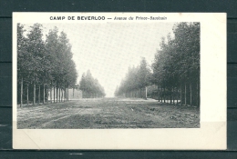 BEVERLOO: Avenue Du Prince, Niet Gelopen Postkaart  (GA15581) - Other & Unclassified