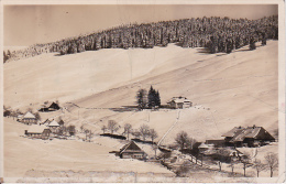 AK Todtnauberg Im Winter (8553) - Todtnau