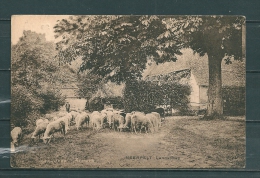 NEERPELT: Landschap, Gelopen Postkaart 1931 (GA15759) - Neerpelt