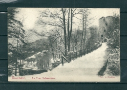 BEAUMONT: La Tour Salamandre,  Gelopen Postkaart 1907 (GA15891) - Beaumont