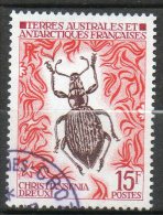 TAAF  Insecte 1973  N°49 - Used Stamps