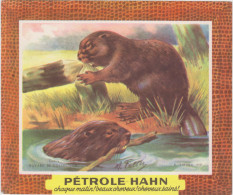 Pétrole HAHN -chaque Matin ! Beaux Cheveux ! Cheveux Sains !  Castors - Parfum & Kosmetik