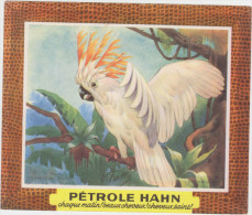 Pétrole HAHN -chaque Matin ! Beaux Cheveux ! Cheveux Sains !  Cacatoès - Perfumes & Belleza