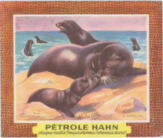 Pétrole HAHN -chaque Matin ! Beaux Cheveux ! Cheveux Sains !  Otaries - Parfums & Beauté