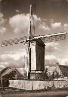 LO-RENINGE  -DE MOLEN-LE MOULIN - Lo-Reninge