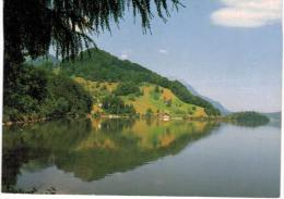 Suisse - Lac De Lauerz Lauerzersee - Lauerz