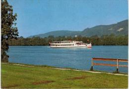 Suisse - MS Rheinfelden Bei Kaiseraugst - Bateau - Rheinfelden