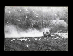 AGRICULTURE - TRACTEUR - - Tracteurs