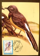 ROUMANIE Oiseaux (copsychus Malabarricus) Carte Maximum. FDC, Emis En 1992(10) - Autres & Non Classés