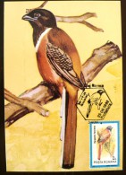 ROUMANIE Oiseaux (harpactes Fasciatus) Carte Maximum. FDC, Emis En 1992(6) - Autres & Non Classés