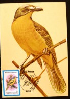 ROUMANIE Oiseaux (malaconotus Blanchoti) Carte Maximum. FDC, Emis En 1992(8) - Autres & Non Classés