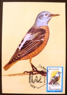 ROUMANIE Oiseaux (monticola Saxatilis) Carte Maximum. FDC, Emis En 1992(15) - Autres & Non Classés