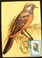 ROUMANIE Oiseaux (pericrocotus Flammeus) Carte Maximum. FDC, Emis En 1992(7) - Autres & Non Classés