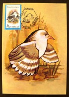 ROUMANIE Oiseaux (rhynochetos Jubatus) Carte Maximum. FDC, Emis En 1992(11) - Otros & Sin Clasificación