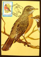 ROUMANIE Oiseaux (turdus Migratorius) Carte Maximum. FDC, Emis En 1992(14) - Autres & Non Classés