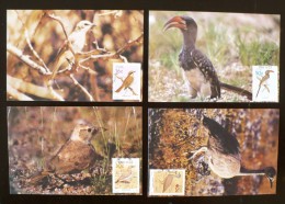 SUD OUEST AFRICAIN Oiseaux Yvert 586/89 Sur 4 Cartes Maximums. FDC - Other & Unclassified