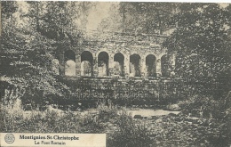 Montignies-St-Christophe - Le Pont Romain- Jolie Griffe De La Buissière- 1928 ( Voir Verso ) - Erquelinnes