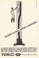 # SPAZZOLINO VENUS TRE 1950s Advert Pubblicità Publicitè Reklame Toothbrush Zahnburst Oral Dental Healthcare - Medizinische Und Zahnmedizinische Geräte