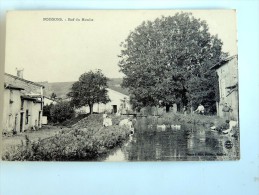 Carte Postale Ancienne : POISSONS : Bief Du Moulin , Lavandières - Poissons