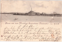 Gruss Aus Dem Moorbad Schönfliess Neumark Trzcińsko Zdrój 15.11.1901 Gelaufen - Neumark