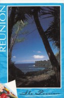 BF24318 St Philippe Cap Mechant  Ile De La Reunion  France  Front/back Image - Reunion