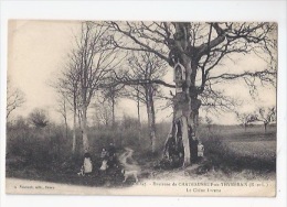 28 - CHATEAUNEUF-EN-THYMERAIS - LE CHENE LORETTE OÙ ON VIENT PRIER - ANIMATION - Châteauneuf