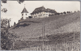 ZH ERLENBACH 1927-10-08 Erlenbach Landhuas Zum Turm - Erlenbach