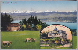 ZH EGG 1928-08-07 Ambulant Pfannenstiel Kurhaus Hochwacht Foto Künzli-Tobler - Egg