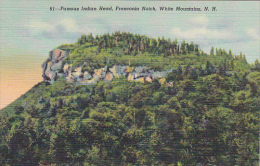 Famous Indian Head Franconia Notech White Mountains New Hampshire Curteich - White Mountains