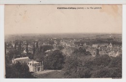 45 - CHATILLON COLIGNY - Vue Générale - Chatillon Coligny