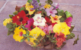 Basket Of Tropical Flowers Antigua West Indies - Antigua Y Barbuda