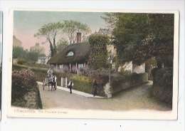 ENGLAND - DEVON -  ILFRACOMBE - THATCHED COTTAGE - ATTELAGE -  PEACOCK AUTOCHROM - CARTE ANCIENNE - Ilfracombe