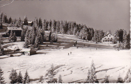 AK Feldberg/Schwarzwald - Berghotel Schlager - 1961 (8604) - Feldberg