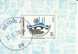 TURCHIA - TURKÍA - TURKEY 1978 NATIONAL YOUTH PHILATELIC EXHIBITION, SOUVENIR SHEET FOGLIETTO FIRST DAY CANCEL USATO - Blocchi & Foglietti