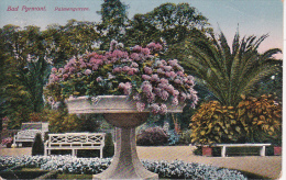 AK Bad Pyrmont - Palmengarten - 1922 (8637) - Bad Pyrmont