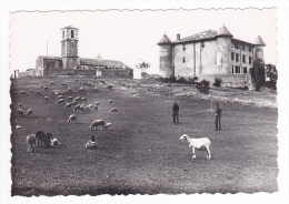 83 Aiguines Vers Aups N°186 Le Château Avec Belles Chèvres Et Moutons - Aups