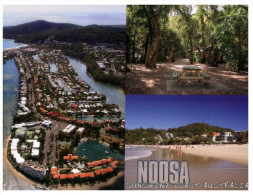 (140) Australia - QLD - Noosa - Sunshine Coast