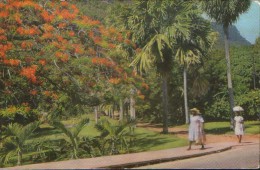Seychelles - Postcard Circulated In 1996 - Botanical Gardens,Victoria, Seychelles - 2/scans - Seychelles