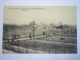 STELLINGEN-HAMBURG  :  Carl  HAGENBECK'S  STRAUSSENFARM  -  Gesamtansicht - Stellingen